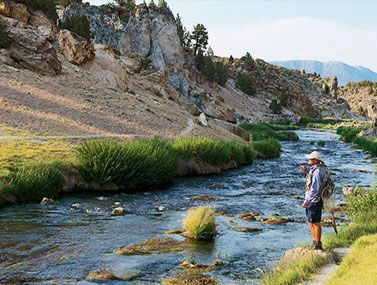 The Trout Fitter