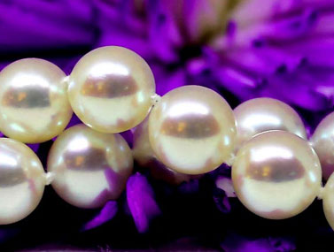 Pure Pearls